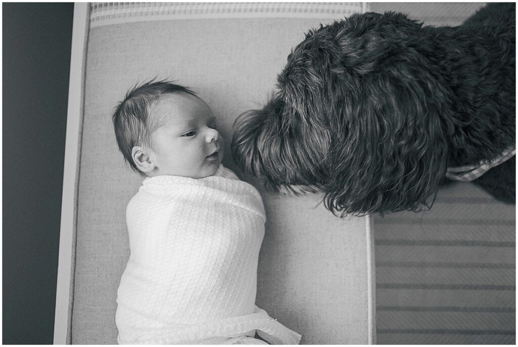 Kaitlin Mendoza is an In-home Indianapolis, Indiana Newborn Photographer who photographed baby graham’s newborn photos.
