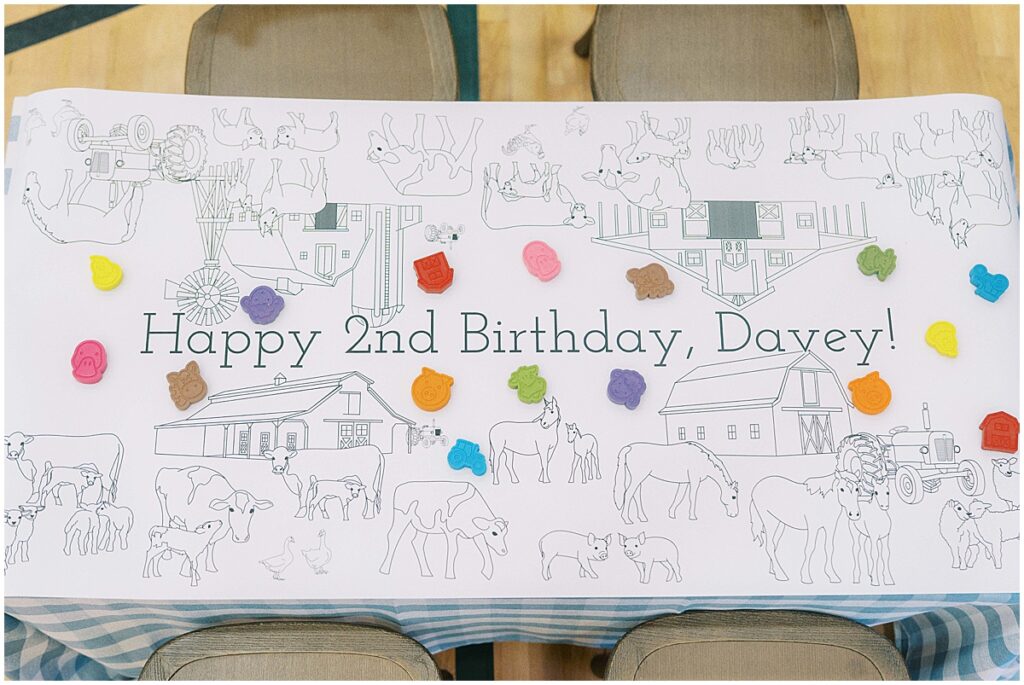 Kaitlin Mendoza is a kids birthday photographer in Indianapolis that captured Davey’s On The Farm themed 2nd birthday party at Holliday Farms.