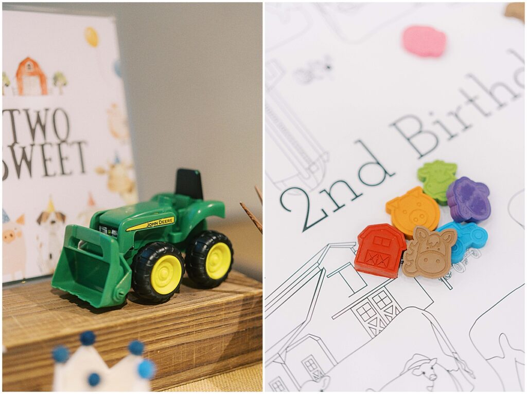 Kaitlin Mendoza is a kids birthday photographer in Indianapolis that captured Davey’s On The Farm themed 2nd birthday party at Holliday Farms.