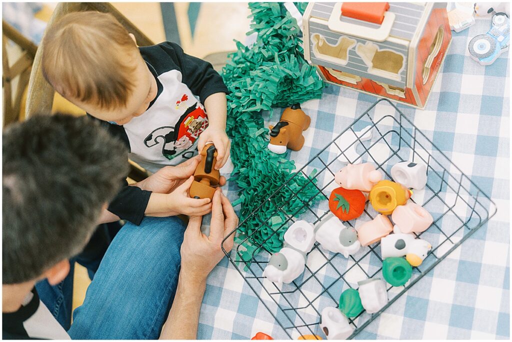 Kaitlin Mendoza is a kids birthday photographer in Indianapolis that captured Davey’s On The Farm themed 2nd birthday party at Holliday Farms.