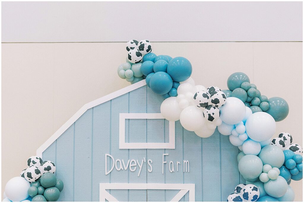 Kaitlin Mendoza is a kids birthday photographer in Indianapolis that captured Davey’s On The Farm themed 2nd birthday party at Holliday Farms.
