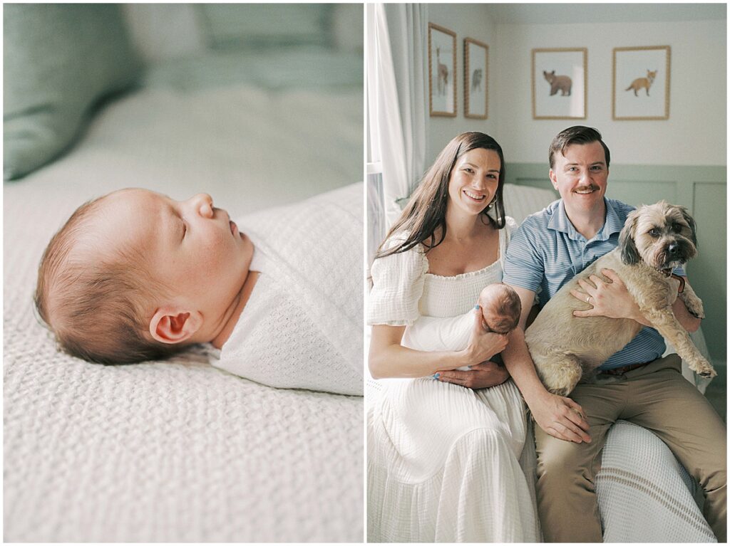 In home newborn session with dog