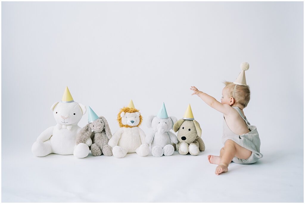 Stuffed animals in party hats lined up for birthday photos