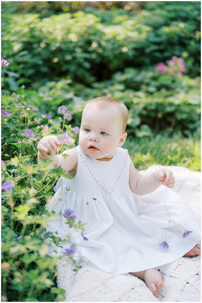 One year old playing with flowers during milestone session